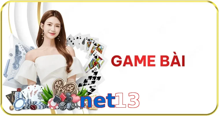 net13