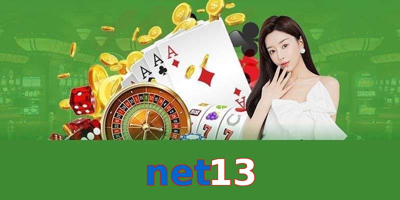 net13