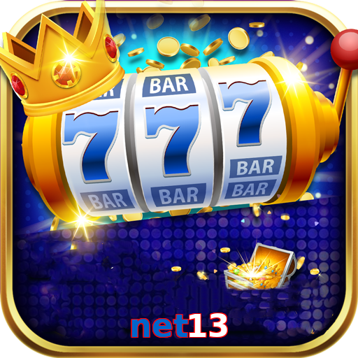 net13