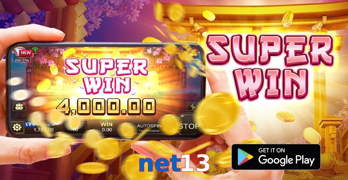 net13