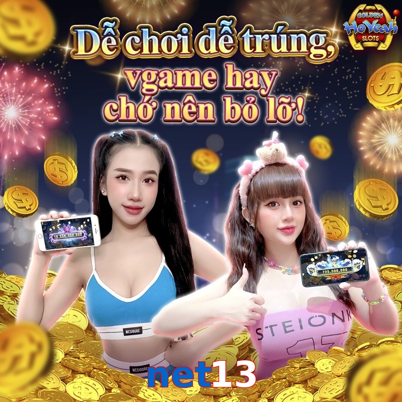 net13