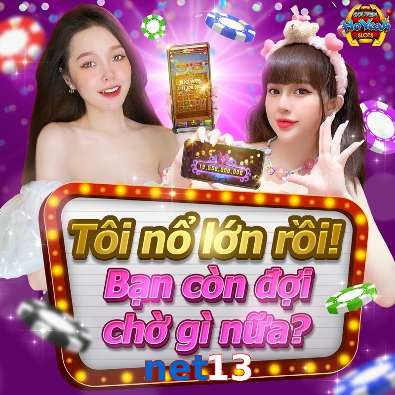 net13