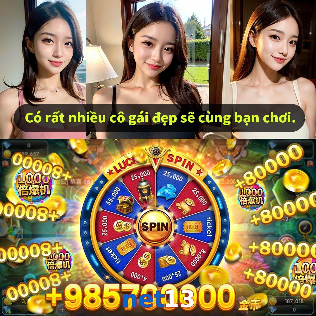 net13
