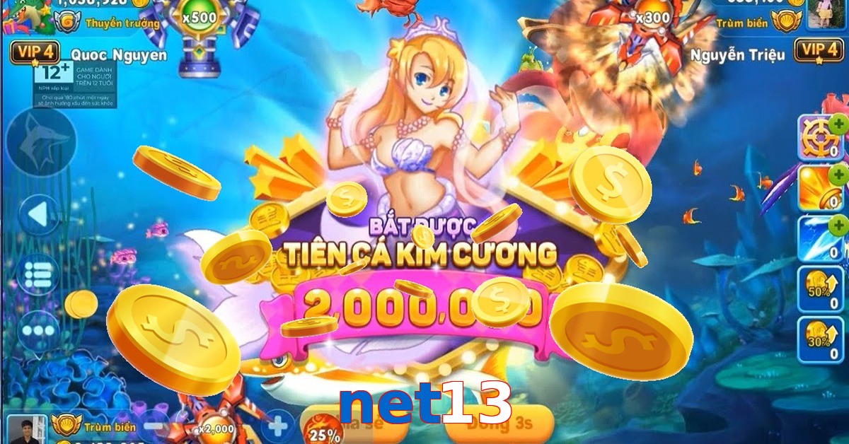 net13