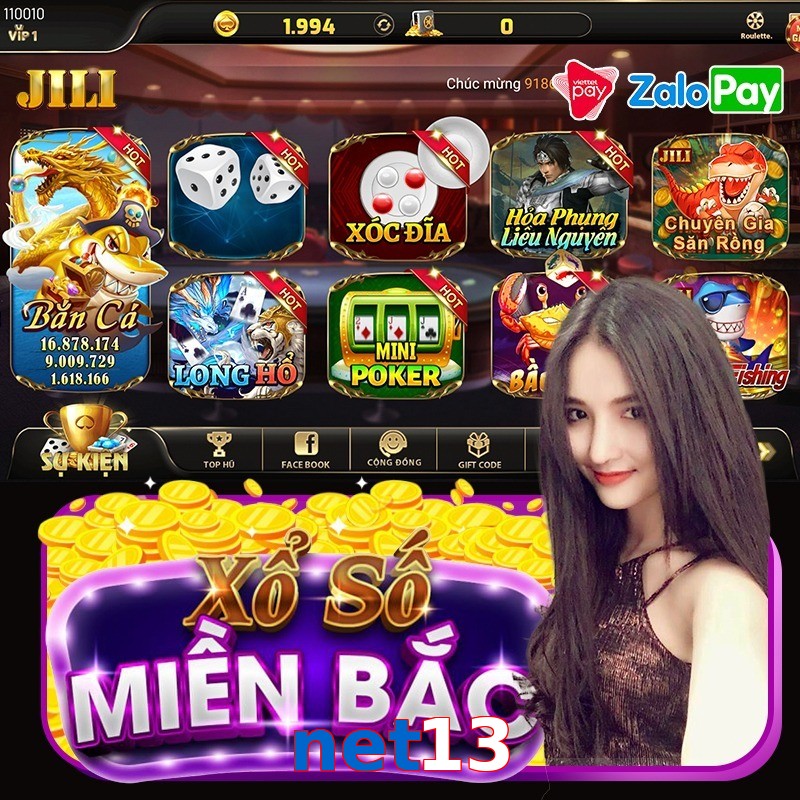 net13