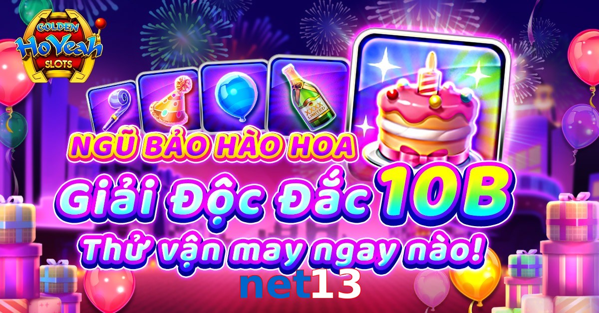 net13