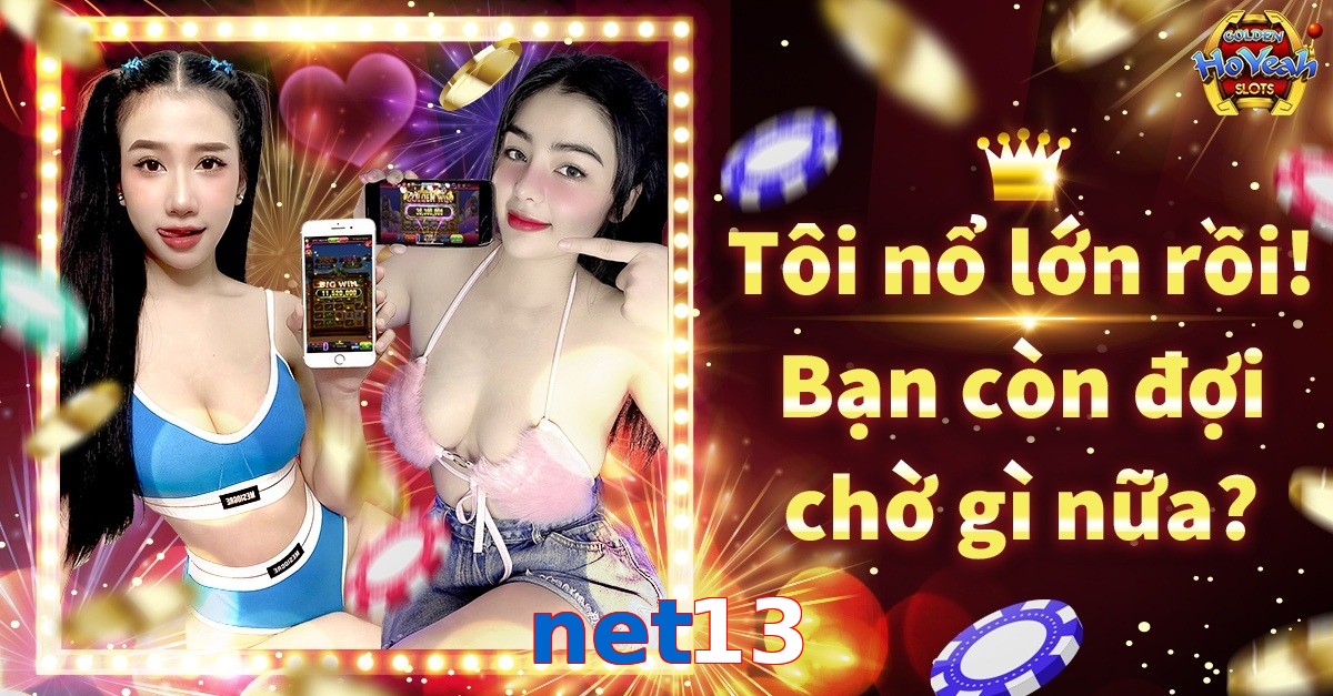 net13