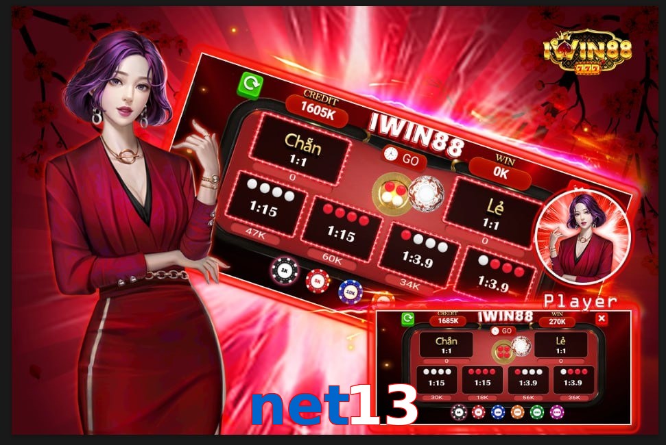 net13