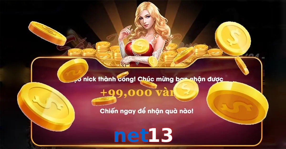 net13