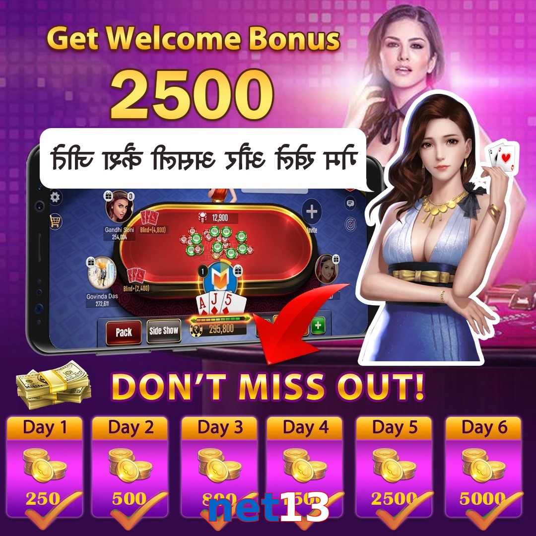 net13